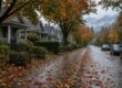 Rain-soaked East Vancouver residential street covered in autumn maple leaves with misty mountains, near Knight and 41st
